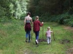 Walks Walks